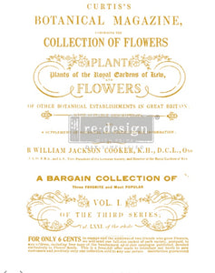 "Transfer Flower Collector